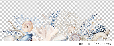 Watercolor coastal border with seashells and sea plants, isolated illustration for beach wedding Watercolor coastal border with seashells and sea plants, isolated illustration for beach wedding 143247765