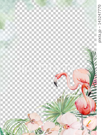 Watercolor pink flamingos with palm leaves and orchids, tropical watercolor isolated illustration Watercolor pink flamingos with palm leaves and orchids, tropical watercolor isolated illustration 143247770