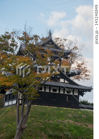 秋の晴れたの黄葉の木々に囲まれた日本のお城 高田城三重櫓 秋の晴れたの黄葉の木々に囲まれた日本のお城 高田城三重櫓 143248849