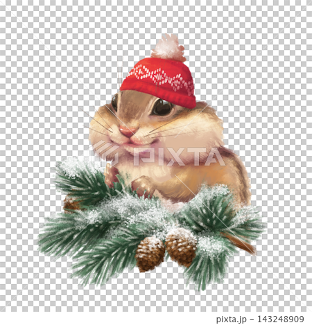 Hand-drawn illustration of a cute chipmunk in a red winter hat on snowy pine branches Hand-drawn illustration of a cute chipmunk in a red winter hat on snowy pine branches 143248909