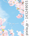 青空に映える桜の花 143249055