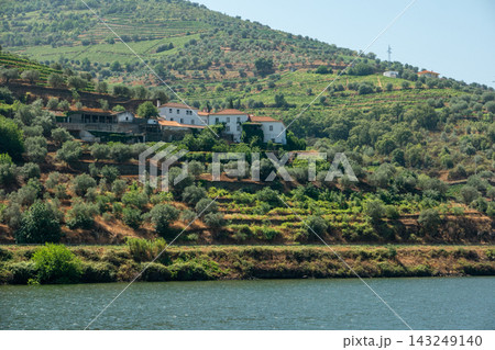 Scenic Douro valley terraced vineyards in Portugal 143249140