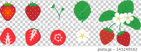 Illustration set featuring strawberries, leaves, and buds. Illustration set featuring strawberries, leaves, and buds. 143249582