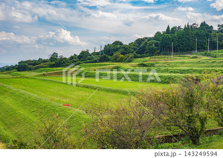 湖西地方の景勝地伊香立の棚田風景 滋賀県大津市 湖西地方の景勝地伊香立の棚田風景 滋賀県大津市 143249594