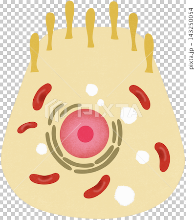 light yellow g cell light yellow g cell 143250054