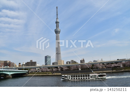 日本の東京の浅草 東京スカイツリーと満開の桜と美しい青空 隅田川を進む遊覧船 日本の東京の浅草 東京スカイツリーと満開の桜と美しい青空 隅田川を進む遊覧船 143250211