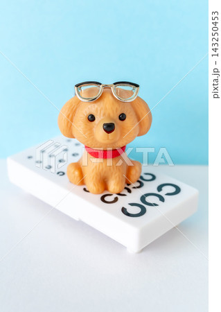 メガネをかけた犬と視力検査表 143250453