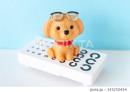 メガネをかけた犬と視力検査表 メガネをかけた犬と視力検査表 143250454