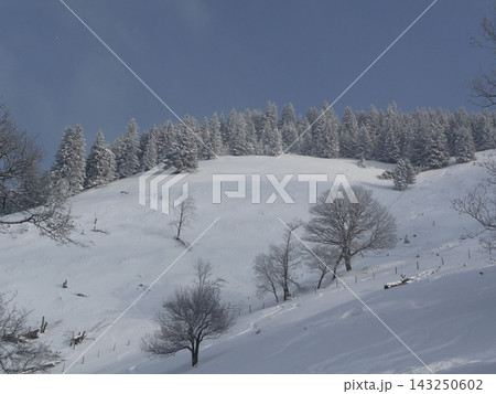 Snowy landscape at Hornle Mountain, alpine foothills in Bavaria, Germany Snowy landscape at Hornle Mountain, alpine foothills in Bavaria, Germany 143250602