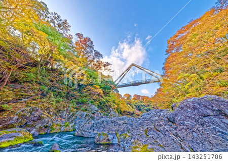 紅葉の渓谷を渡る橋 紅葉の渓谷を渡る橋 143251706