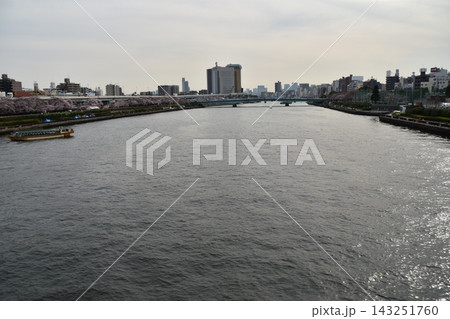 日本の東京の浅草 東京スカイツリー周辺の街並み 隅田川を進む遊覧船と満開の桜 日本の東京の浅草 東京スカイツリー周辺の街並み 隅田川を進む遊覧船と満開の桜 143251760
