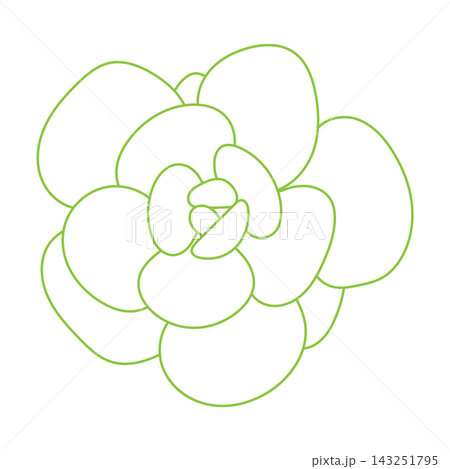 Desert flower for print and design. Doodle Succulent Flower. Desert flower for print and design. Doodle Succulent Flower. 143251795
