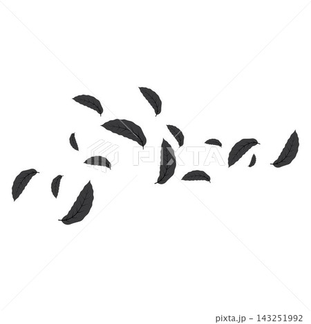 autumn Leaf background concept template vector 143251992
