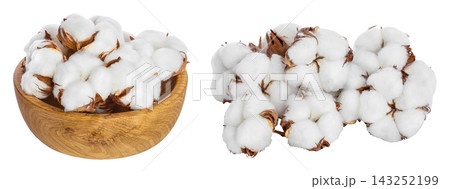 Cotton plant flower in wooden bowl isolated on white background with full depth of field Cotton plant flower in wooden bowl isolated on white background with full depth of field 143252199