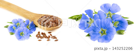 flax seeds in wooden spoon with flower isolated on white background flax seeds in wooden spoon with flower isolated on white background 143252206