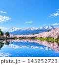 【新潟】晴天の高田城址公園 お堀の水鏡に映る冠雪の妙高連山と満開の桜並木 【新潟】晴天の高田城址公園 お堀の水鏡に映る冠雪の妙高連山と満開の桜並木 143252723