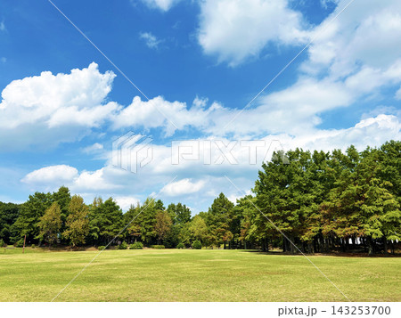 緑豊かな公園 143253700