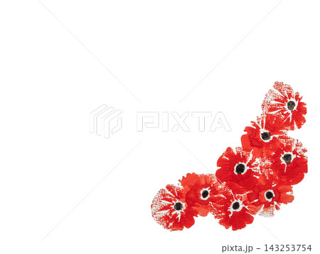 Red watercolor poppy flowers on white background Red watercolor poppy flowers on white background 143253754
