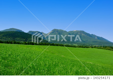夏の久住高原 143254171