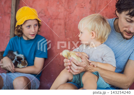 Father and two sons interact with a guinea pig and chick at a farm. Family bonding through shared animal experiences. 143254240