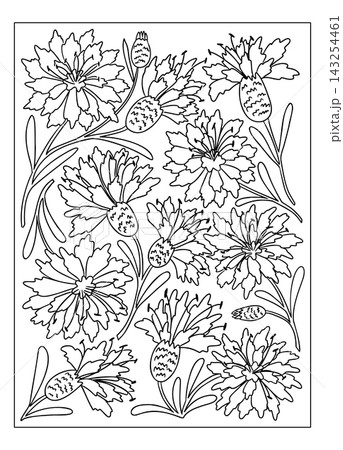 Cornflower coloring page illustration featuring detailed line art of various cornflower blooms and leaves arranged artistically on a white background for creative coloring activities Cornflower coloring page illustration featuring detailed line art of various cornflower blooms and leaves arranged artistically on a white background for creative coloring activities 143254461
