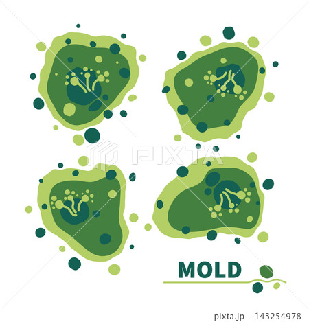 Green fungus spores growth vector illustration set 143254978
