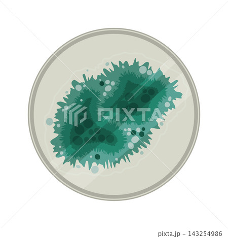 Fungal Growth Dish Fungal Growth Dish 143254986