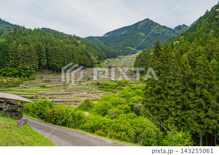新城市の田植え前の四谷の千枚田の風景(愛知県) 新城市の田植え前の四谷の千枚田の風景(愛知県) 143255061