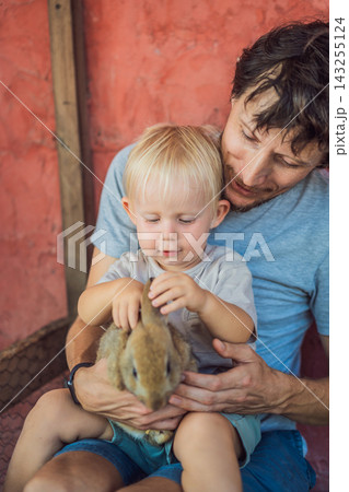 Little boy discovers a rabbit's soft fur with his father's support. Sensory exploration and gentle animal interaction. 143255124