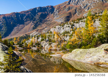 Scenic view of the golden autumn larch trees reflecting in Grunsee lake at Aletsch Forest, Switzerland Scenic view of the golden autumn larch trees reflecting in Grunsee lake at Aletsch Forest, Switzerland 143256388