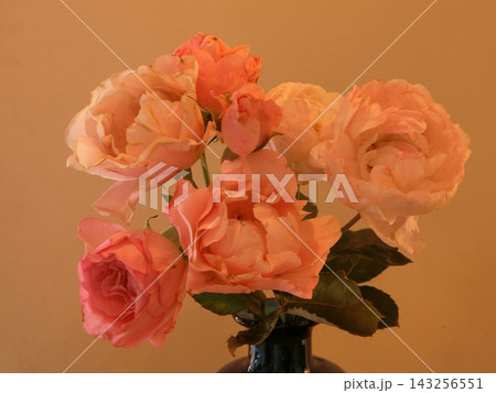 花 花 143256551