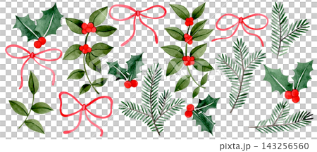A cute watercolor set of Christmas plants and red bows. 143256560