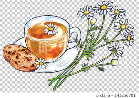 洋甘菊茶、餅乾和一幅手繪花卉插圖。 洋甘菊茶、餅乾和一幅手繪花卉插圖。 143256701