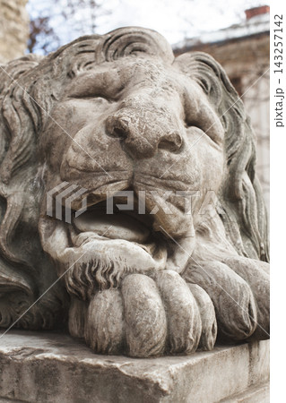 Sleeping marble lion near the Powder Tower in Lviv Sleeping marble lion near the Powder Tower in Lviv 143257142