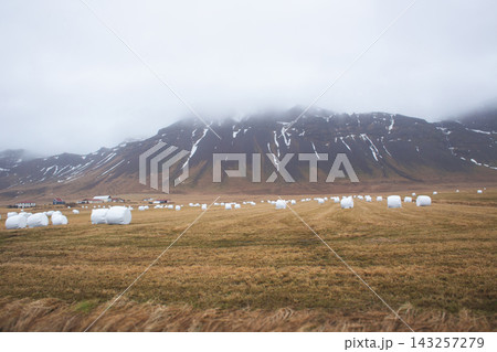 farm field with white hay bales and misty mountains of Reykjanes Peninsula in Iceland 143257279