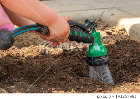 Watering a garden bed with a green nozzle attachment connected to a hose, preparation for planting. Watering a garden bed with a green nozzle attachment connected to a hose, preparation for planting. 143257963