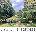 豊かな緑と石段が広がる自然公園の散策路 143258484