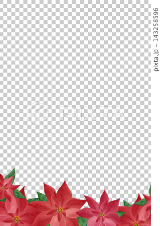 水彩畫《一品紅》(4 幅):鮮豔的紅色,直式。 水彩畫《一品紅》(4 幅):鮮豔的紅色,直式。 143258596