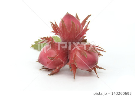 Three fuzzy red hazelnuts with green leaf on white background Three fuzzy red hazelnuts with green leaf on white background 143260693