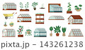 Greenhouse garden vector illustration element set 143261238