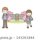 入学　高校生と学校と桜 143261844