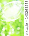 新緑と光の環 143263253