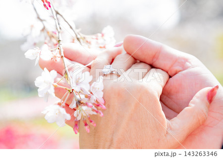 【春のウェディングのイメージ】桜と婚約指輪 143263346