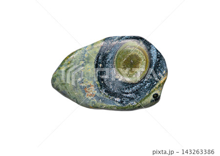Kambaba jasper gemstone Kambaba jasper gemstone 143263386