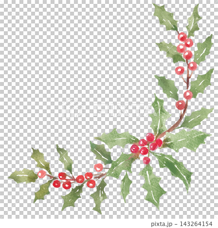 Watercolor holly frame material Watercolor holly frame material 143264154