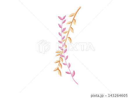 草模様(ピンク色と薄橙色) 草模様(ピンク色と薄橙色) 143264605