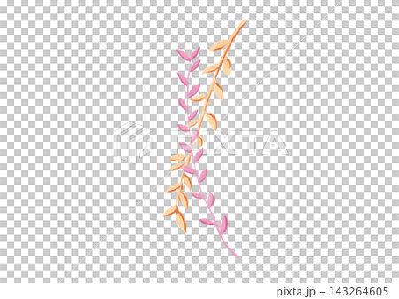 草模様(ピンク色と薄橙色) 草模様(ピンク色と薄橙色) 143264605