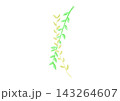 草模様（緑色と黄緑色） 143264607