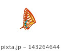 アゲハ蝶の羽根 143264644
