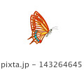 アゲハ蝶 143264645